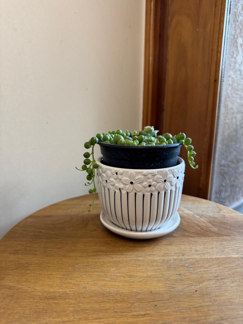 Macetero Pequeño Diseño Flores
