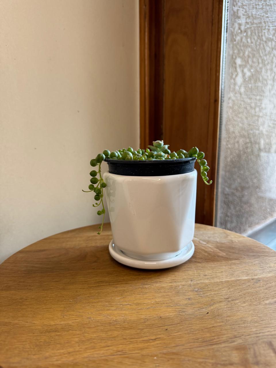 Macetero Pequeño Blanco Diseño Triangulo