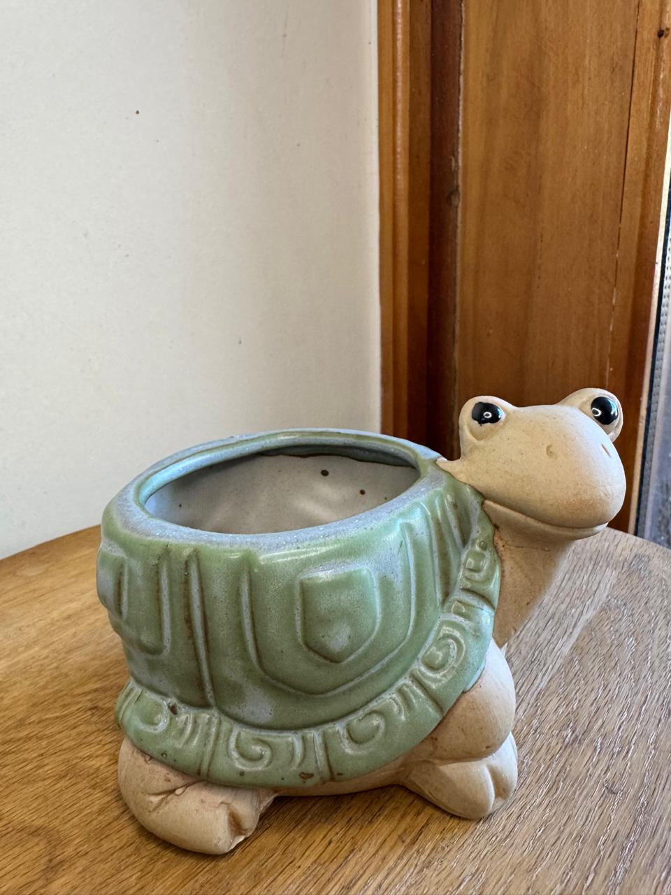 Macetero Tortuga