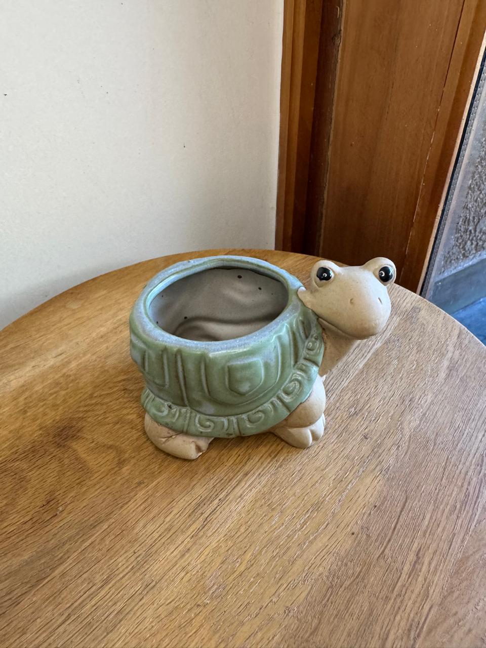 Macetero Tortuga