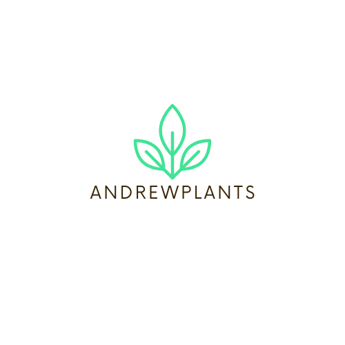 Andrew`s plants